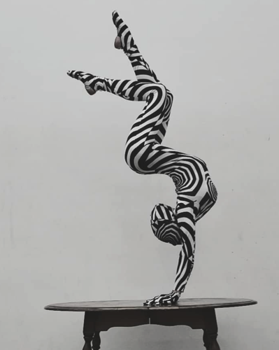 Zebra Stance